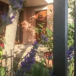 Bed & Breakfast Sophie Assisi