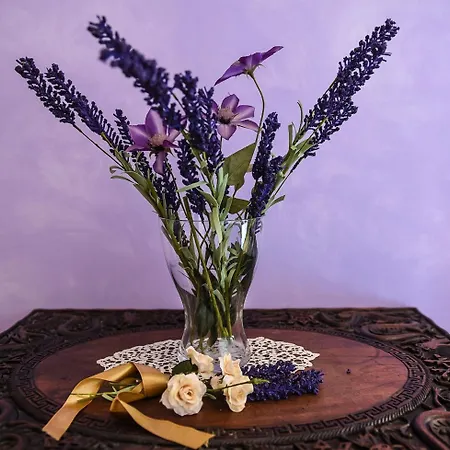 Bed & Breakfast Sophie Assisi