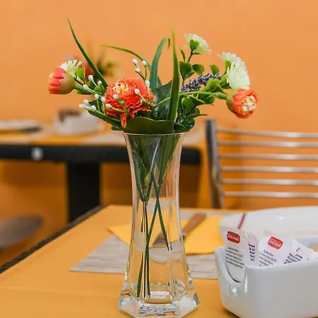 Sophie Oda ve Kahvaltı