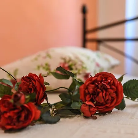 Bed & Breakfast Sophie Assisi