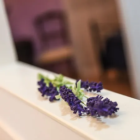 Sophie 住宿加早餐酒店 阿西西