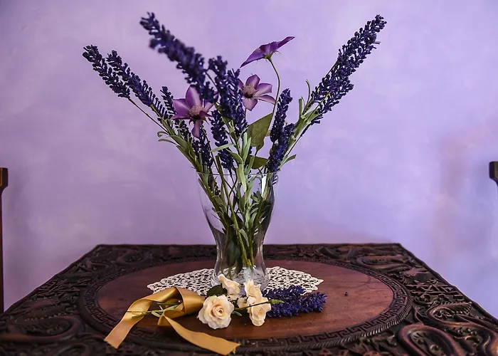 Nocleg ze śniadaniem Sophie Asyż