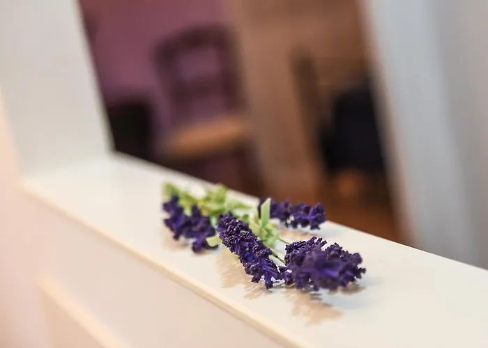 Sophie فندق مبيت وإفطار 3*