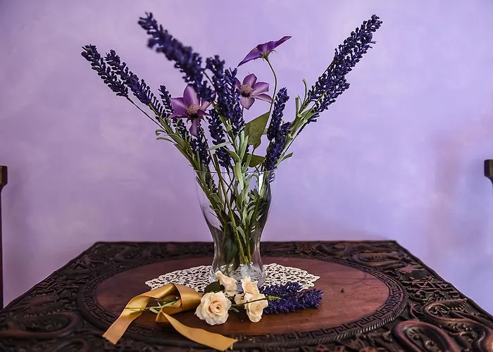 Sophie Alojamento de Acomodação e Pequeno-almoço