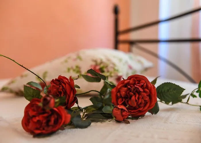 Nocleg ze śniadaniem Sophie Asyż